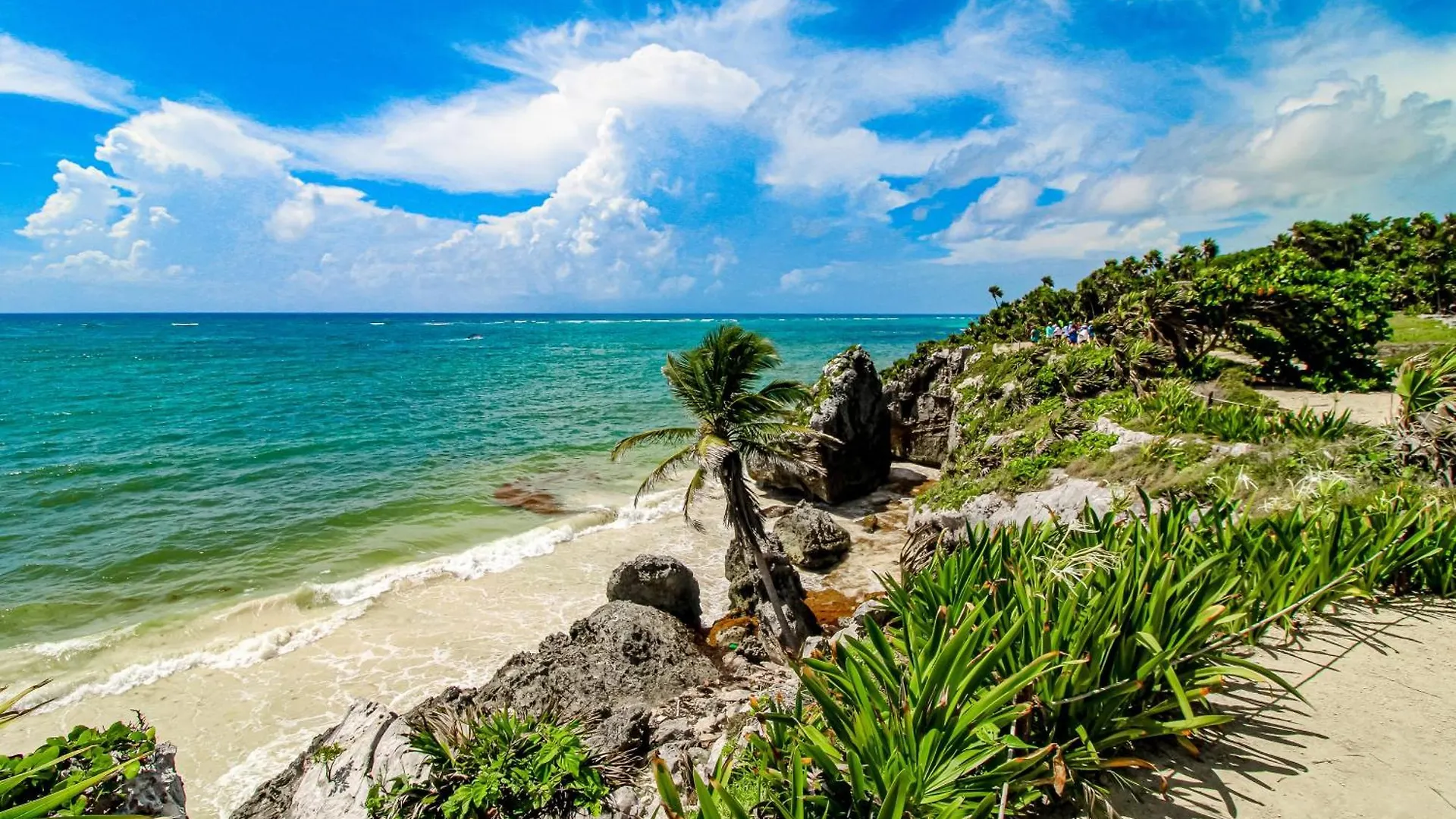 Apartmán Pure Tulum 303 Mexiko