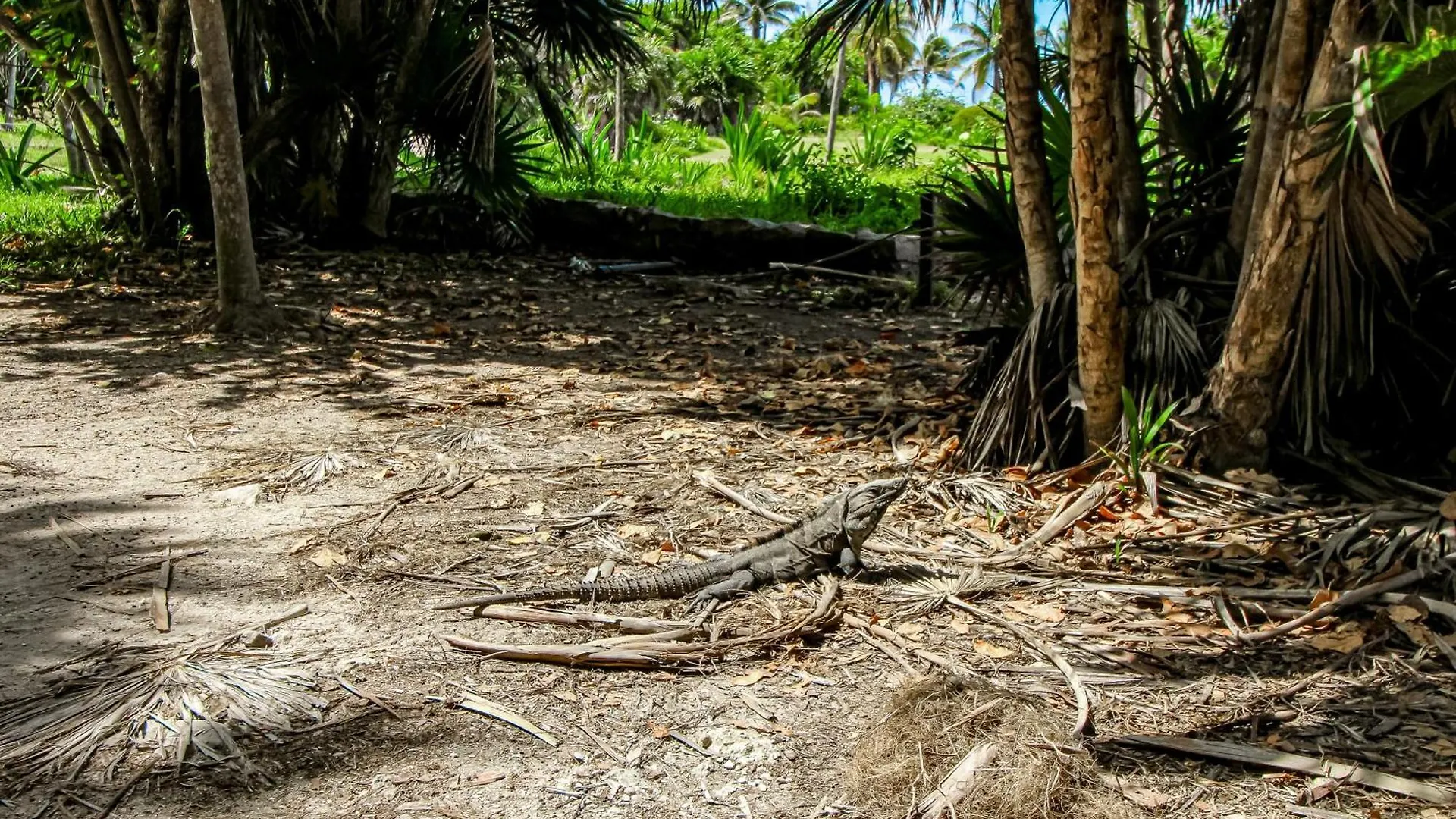 Apartmán Pure Tulum 303